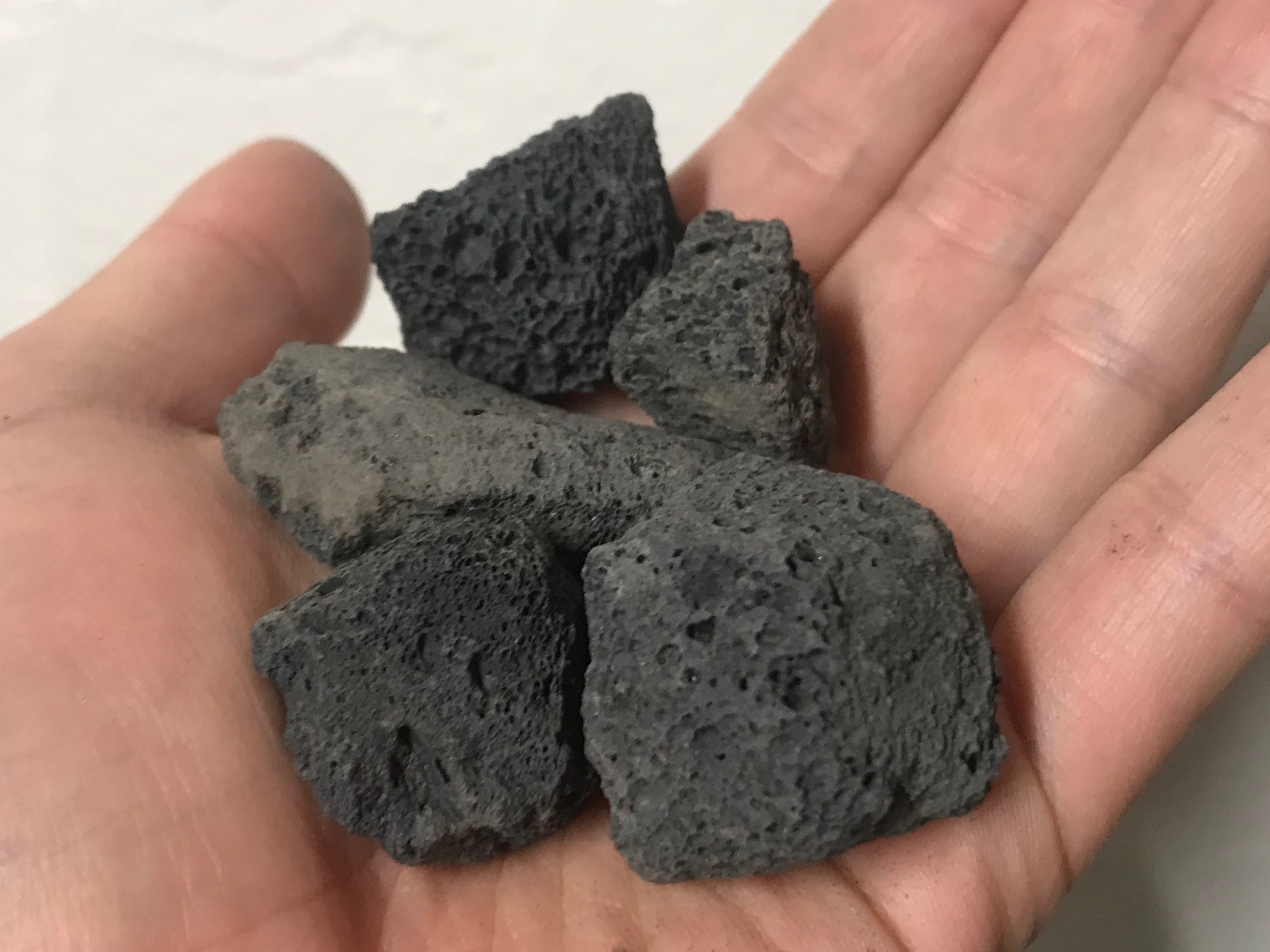 アクアリウムやテラリウム水槽に使いたい 安くておすすめの溶岩石 なおたろファームのブログ